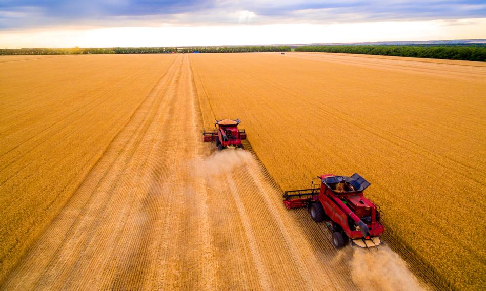 USA ogłosiły 250 mln dol. pomocy dla ukraińskiego sektora rolnego