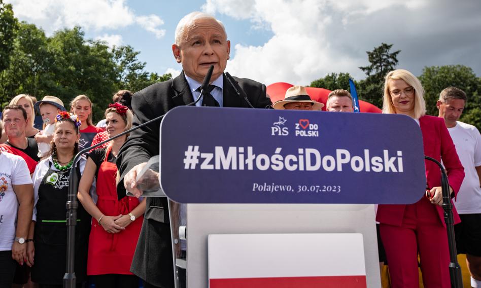 Grzybowa bitwa z Unią Europejską czy kolejny straszak? Bruksela odpowiada prezesowi PiS