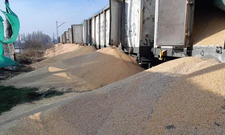 "W Polsce zniszczono 160 ton naszego zboża". Wicepremier Ukrainy pokazuje zdjęcia