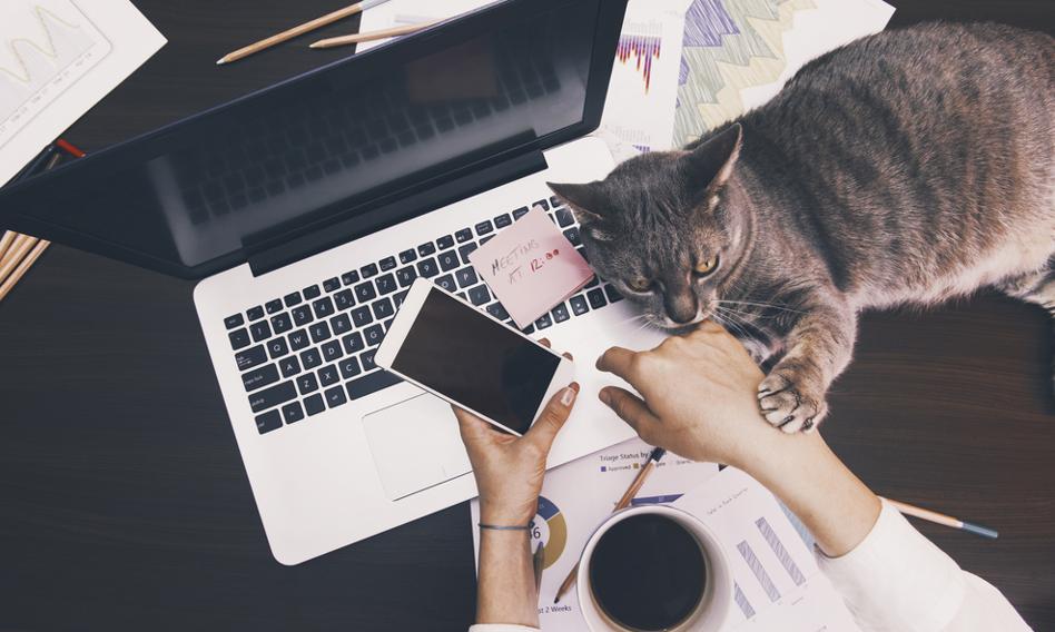 Home office na stałe zagościło w polskich firmach. Porównanie z czasami przedpandemicznymi