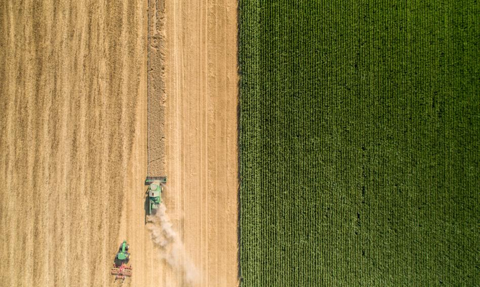 KE zatwierdziła 2,1 mld zł wsparcia rządowego dla polskich rolników
