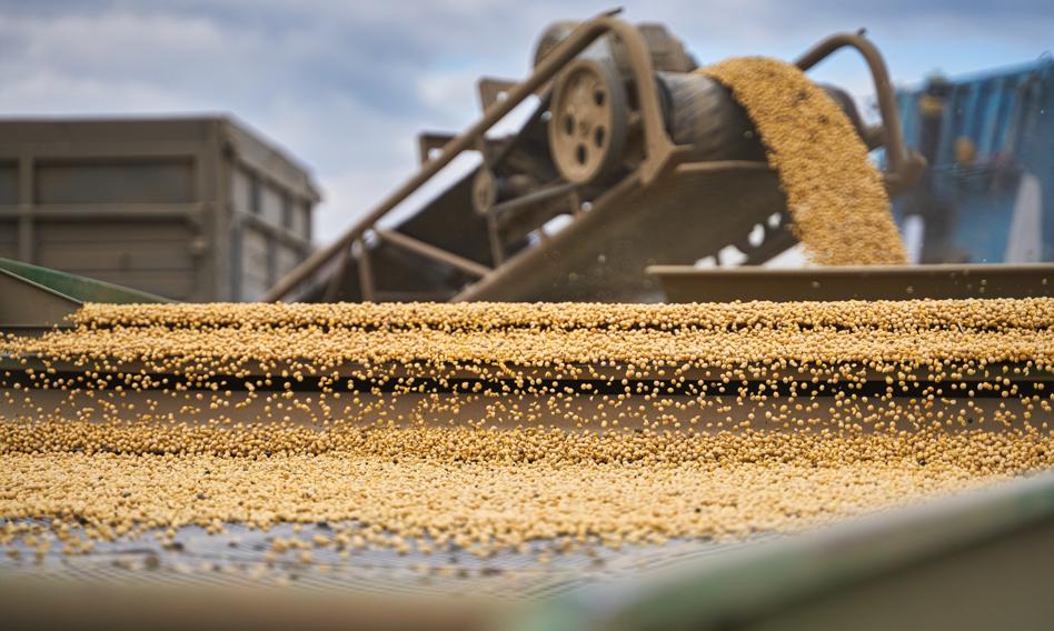 Wyższe cła importowe na zboże z Rosji i Białorusi. Unia Europejska podjęła decyzję
