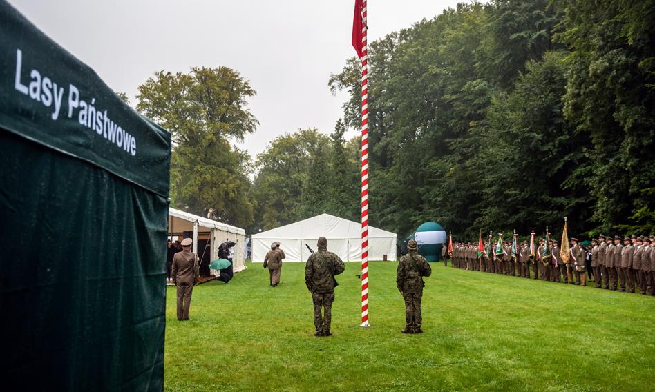 Nadleśnictwa łożyły darowizny na kampanię Suwerennej Polski
