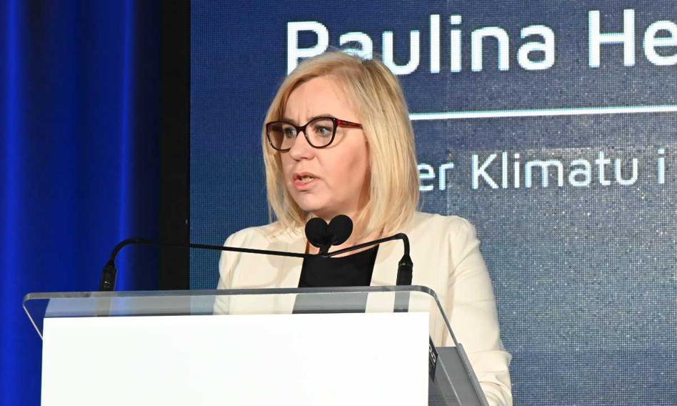 Hennig-Kloska: Dotowanie cen prądu przesłanką do opóźnienia ETS2