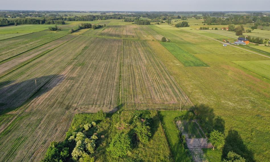 Posłowie PiS chcą ujawnienia umowy sprzedaży działki pod CPK i dymisji szefa KOWR