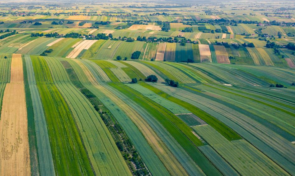 Ruszyły pierwsze wypłaty zaliczek za grunty pod lotnisko
